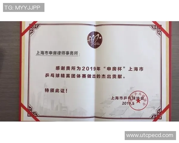 上海乒乓球队运营解析：背后的管理策略与发展前景探讨