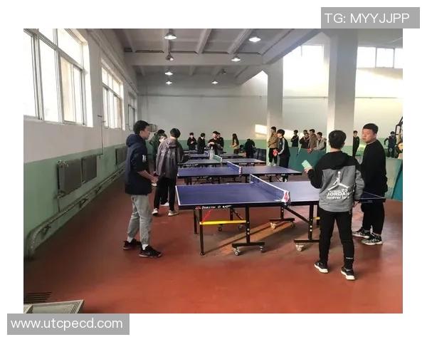 周静独家分享乒乓球技巧与心得体会助你提升球技的秘密之道