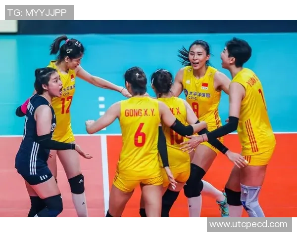 最新排球状态排行榜前十名上海排球队稳居榜首展现强劲实力